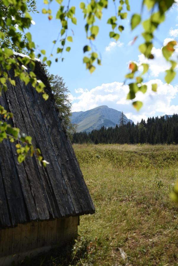 Villa Vukovic House-Moticki Gaj Žabljak Esterno foto
